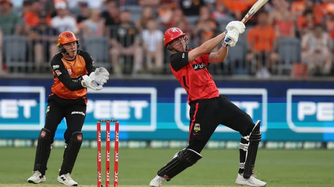 Will Sutherland leads the way as all-round performance keeps Renegades alive